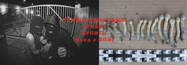 ешки Алексеевка