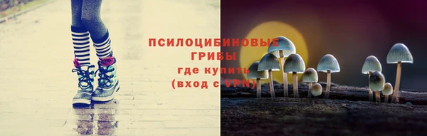 ешки Алексеевка