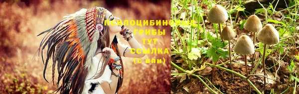 дурь Алексин