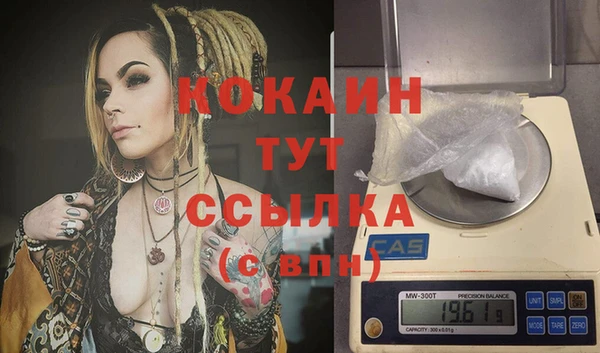 дурь Алексин