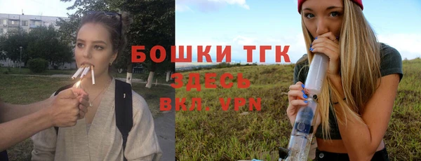 ешки Алексеевка