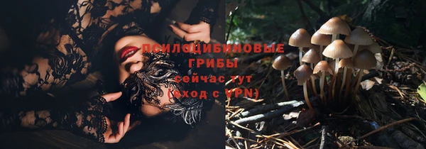 дурь Алексин